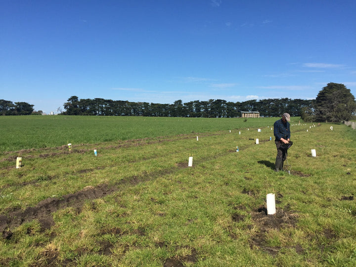 Sustainability & Eco Responsible Bombora Practices