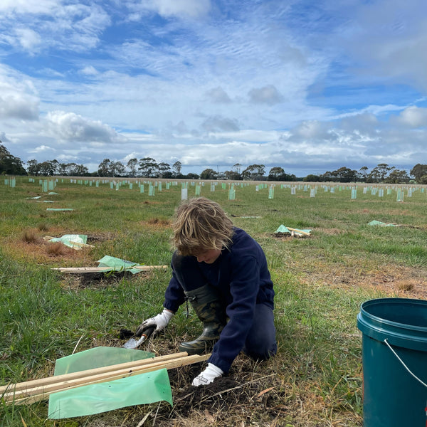 Landcare planting day