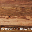 Tasmanian Blackwood labelled panel